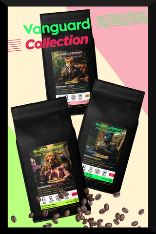 Vanguard Collection