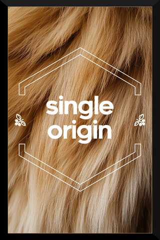 Single Origin