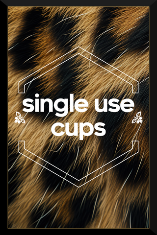Single Use Cups