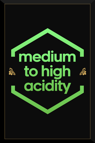 Medium - High Acidity