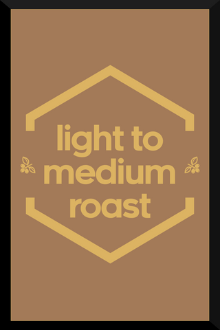 Light - Medium Roast