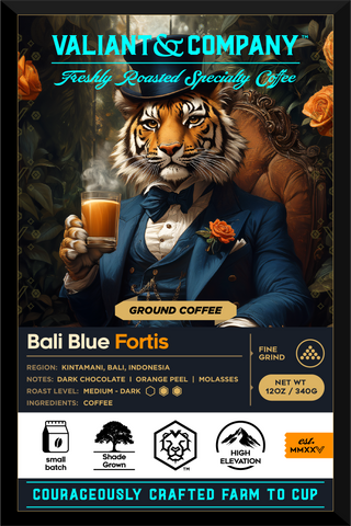 Bali Blue Fortis