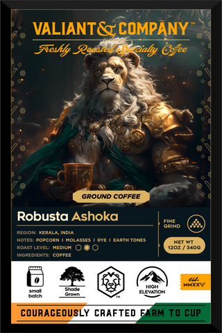 Robusta Ashoka